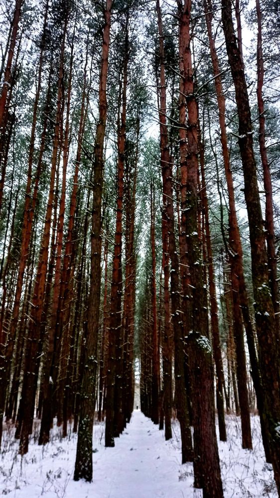 Photograph by Елена Воронова