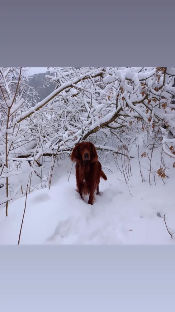 Photograph by Елена Воронова