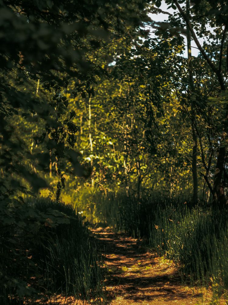 Фотография автора Анна Мисякова