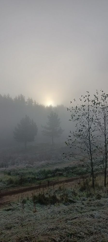 Вдохновение