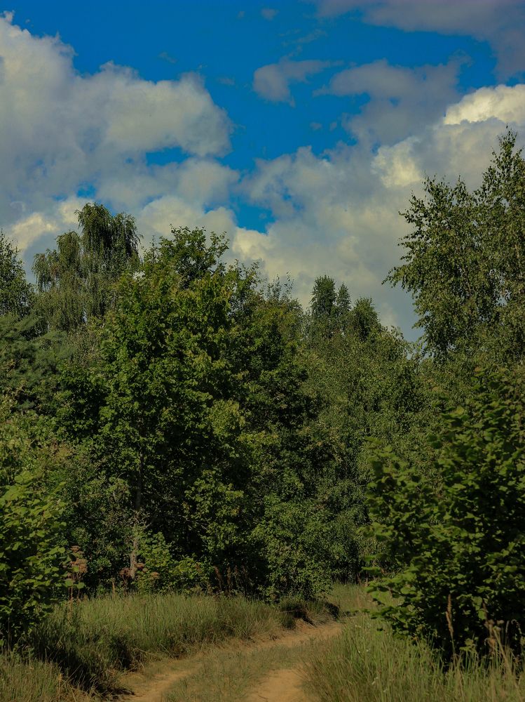 Фотография автора Анна Мисякова