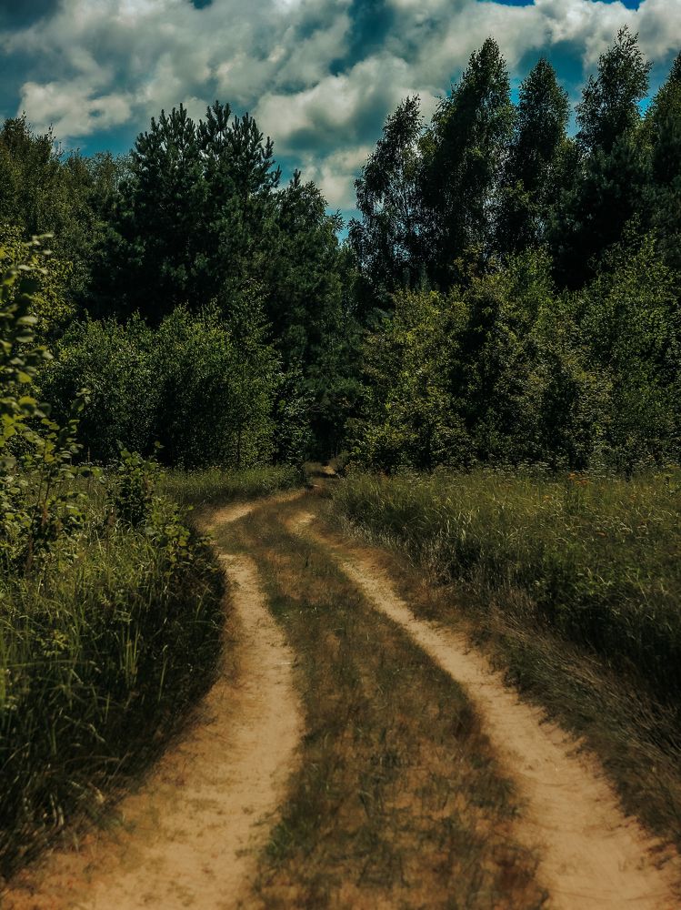 Фотография автора Анна Мисякова