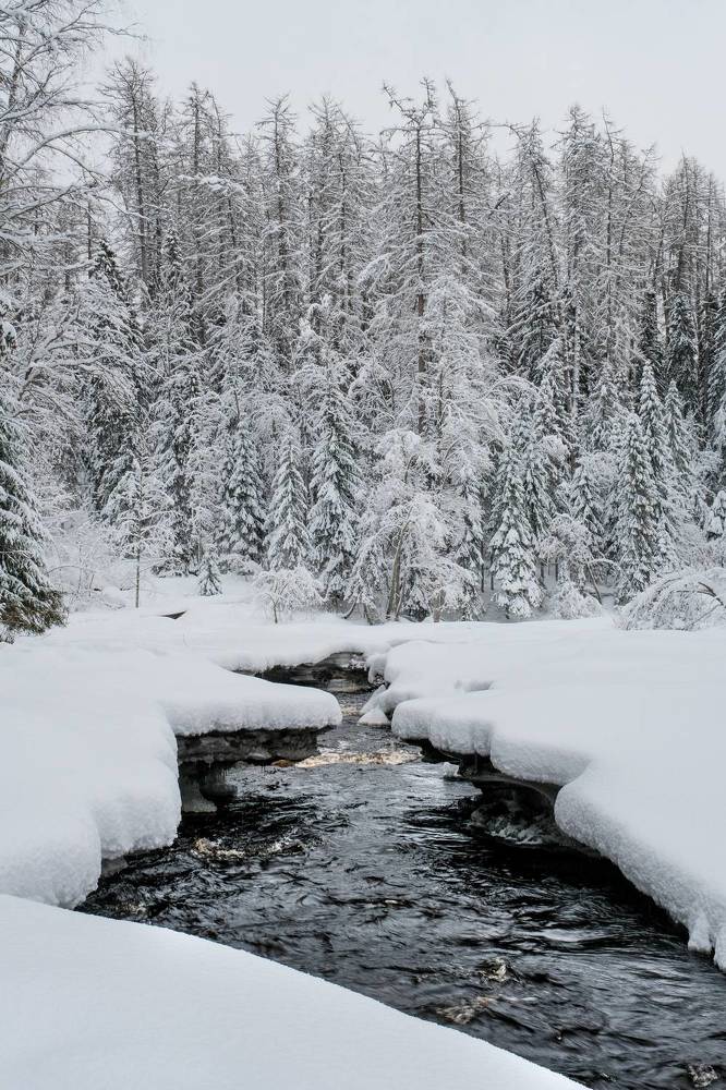 Photograph by Дулова Анастасия