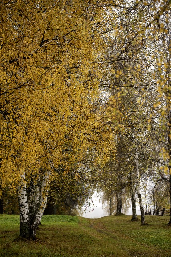 Photograph by Валентина Тарасова