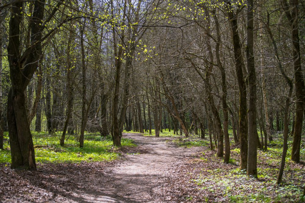 Фотография автора Войнов Дмитрий