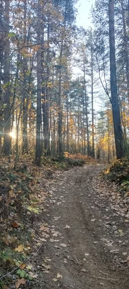 Photograph by Филипп