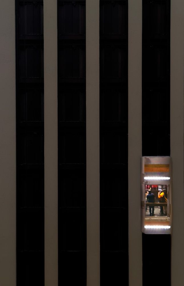 Photograph by Gil V Ribeiro