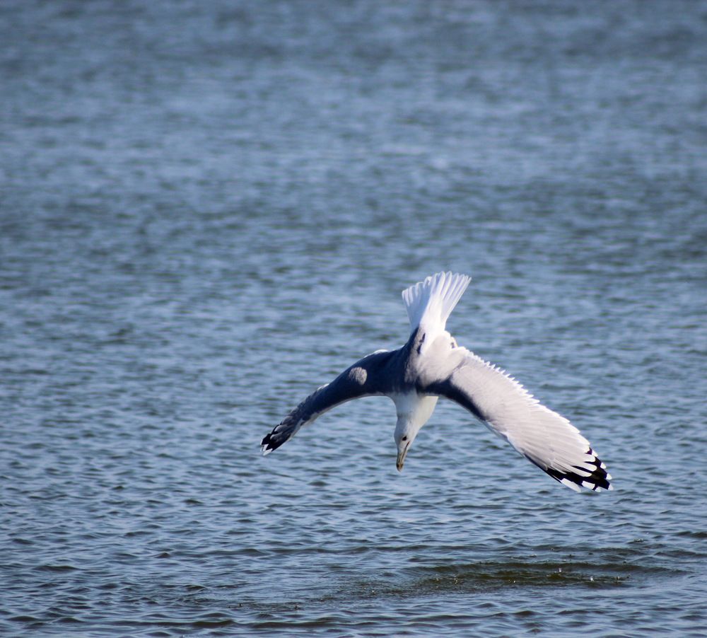 Photograph by Александра Тимошенко