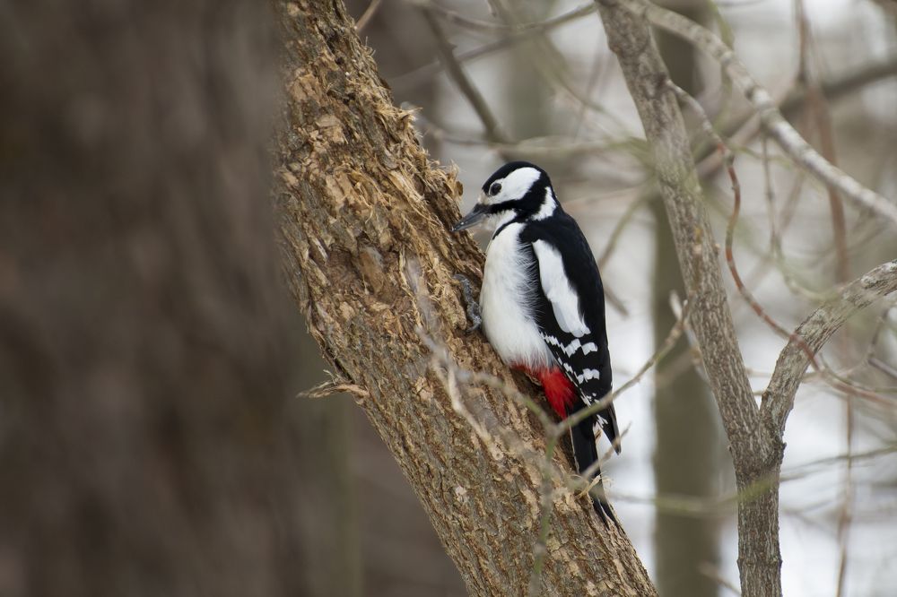 Фотография автора Войнов Дмитрий