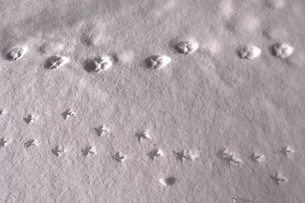 Photograph by Карина Плахова