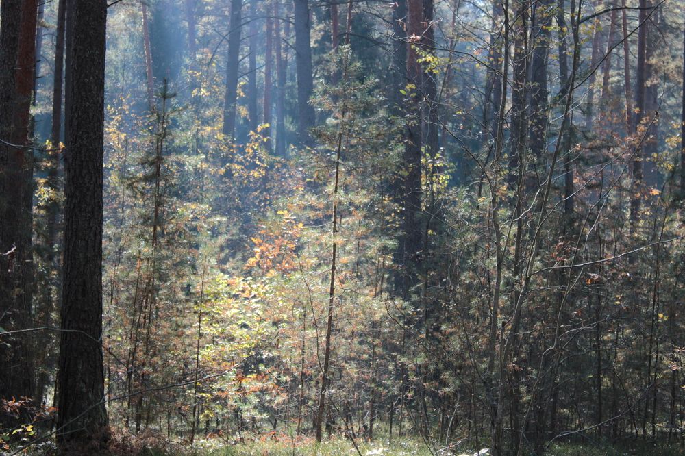 Photograph by Анна Янчилина