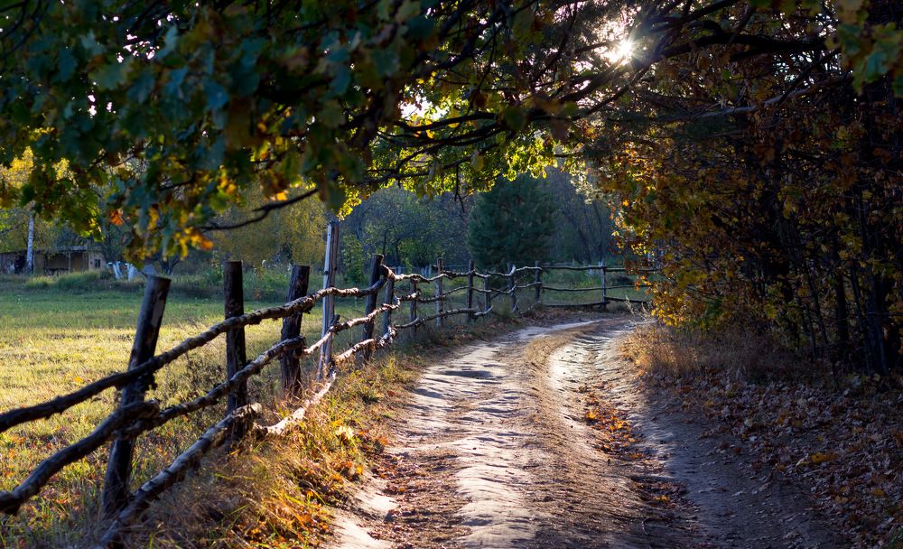 Photograph by Вячеслав