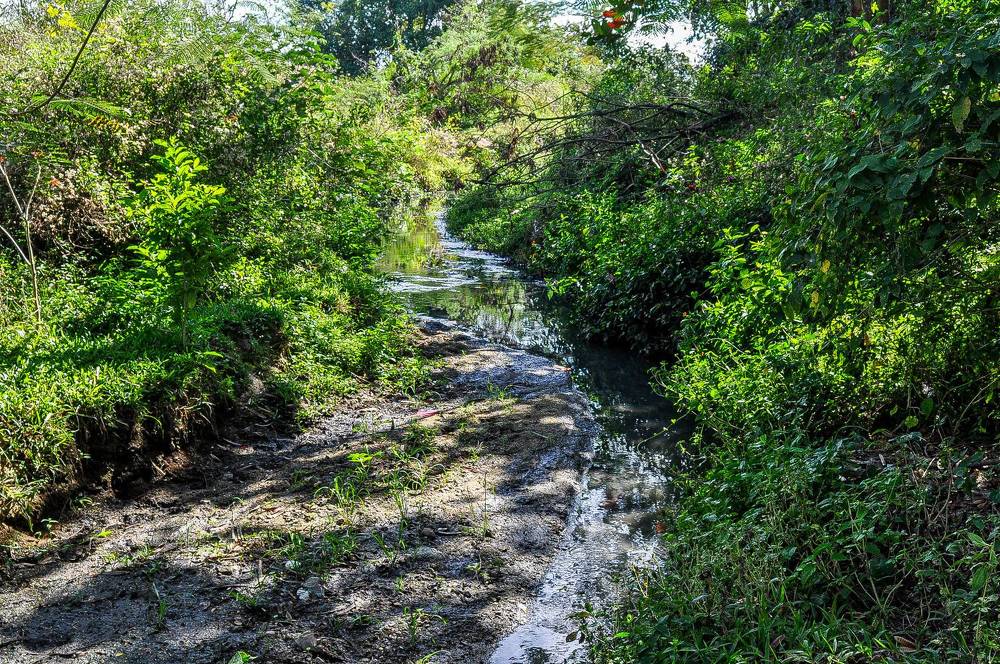 Photograph by Descartes Junior