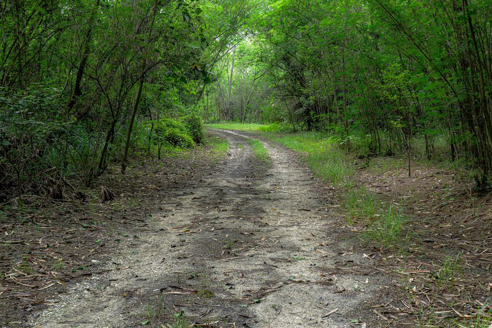 Photograph by Descartes Junior