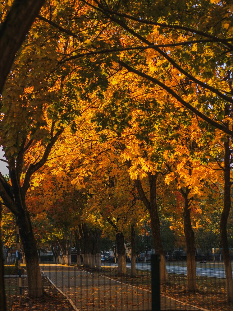 Фотография автора Анна Мисякова
