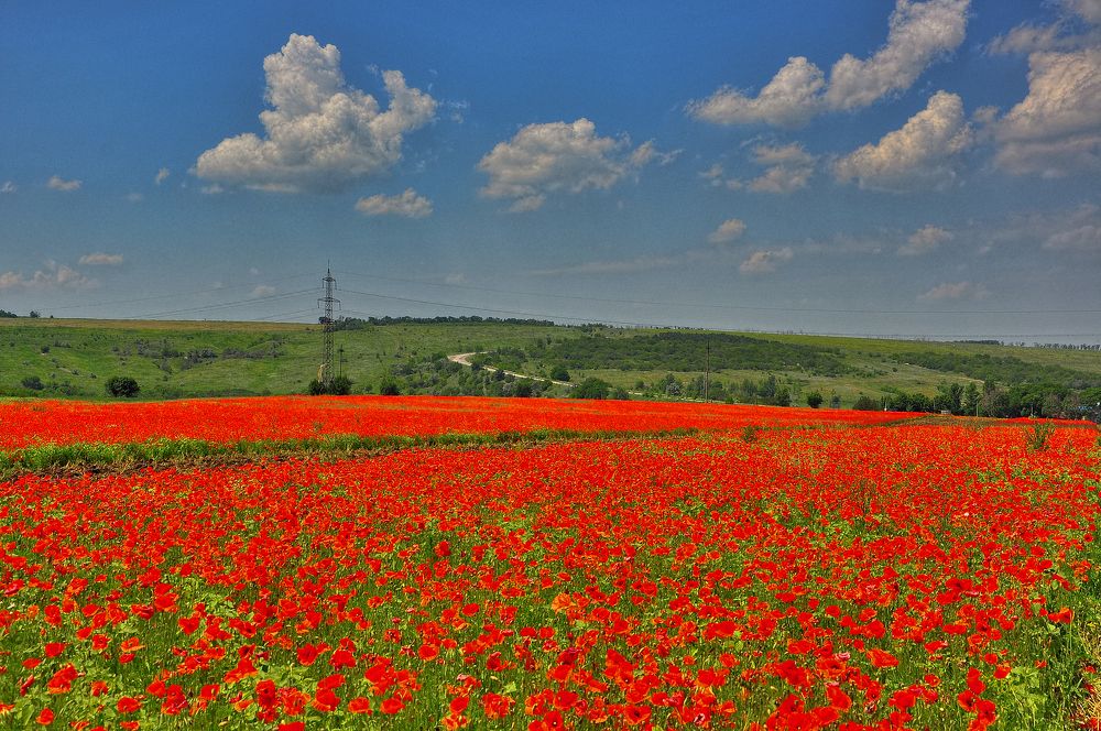 Photograph by Олег Радионов