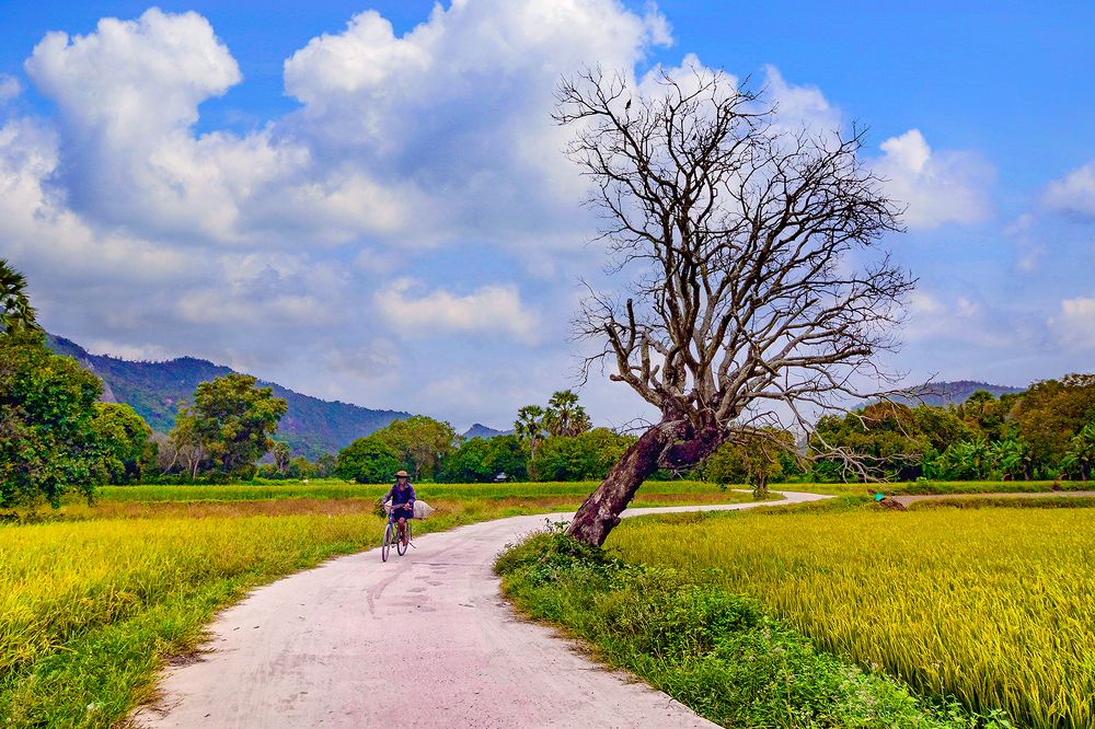 Photograph by Bùi Long