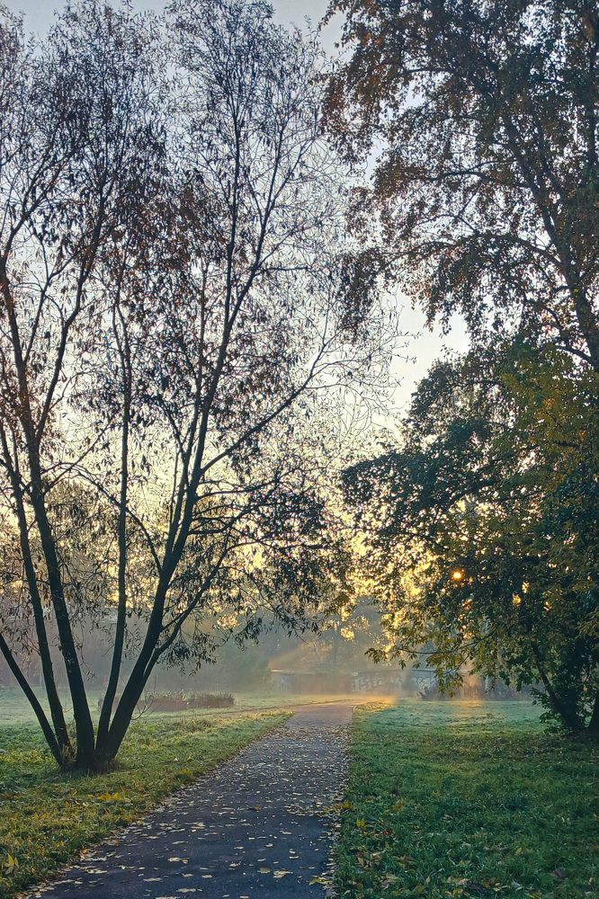 Фотография автора Джаф