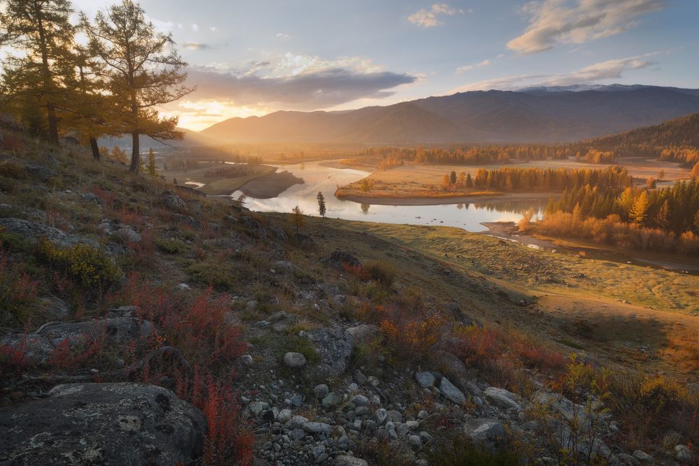 Photograph by Марина Ферапонтова