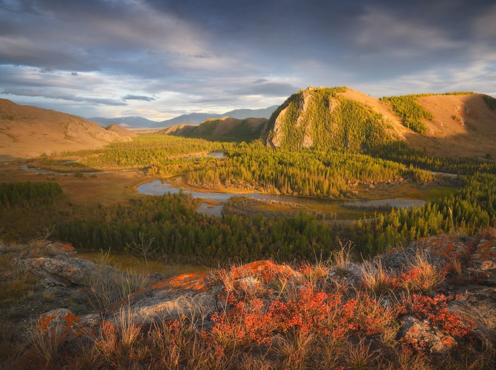Фотография автора Марина Ферапонтова