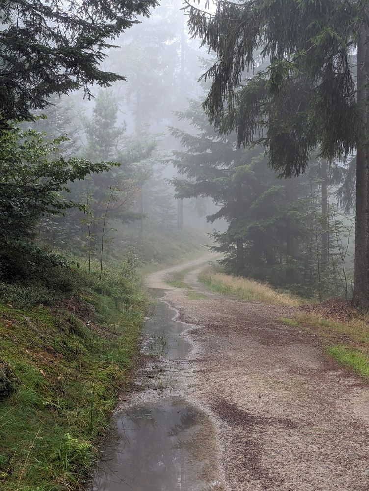 Photograph by Viktoriya Filip