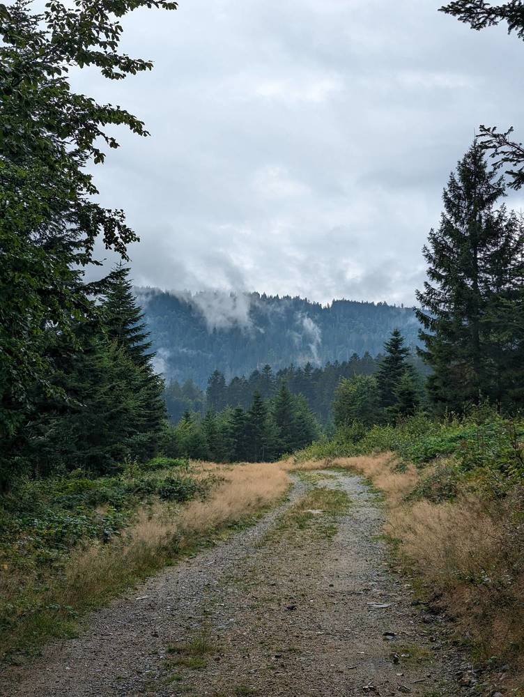 Photograph by Viktoriya Filip