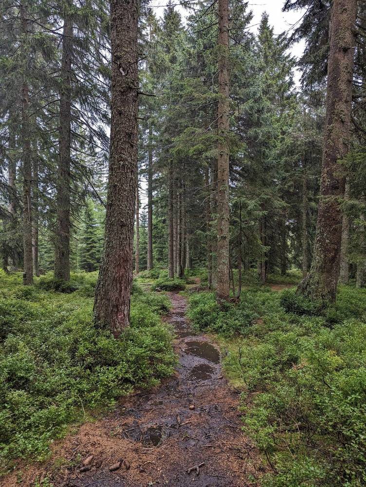 Photograph by Viktoriya Filip