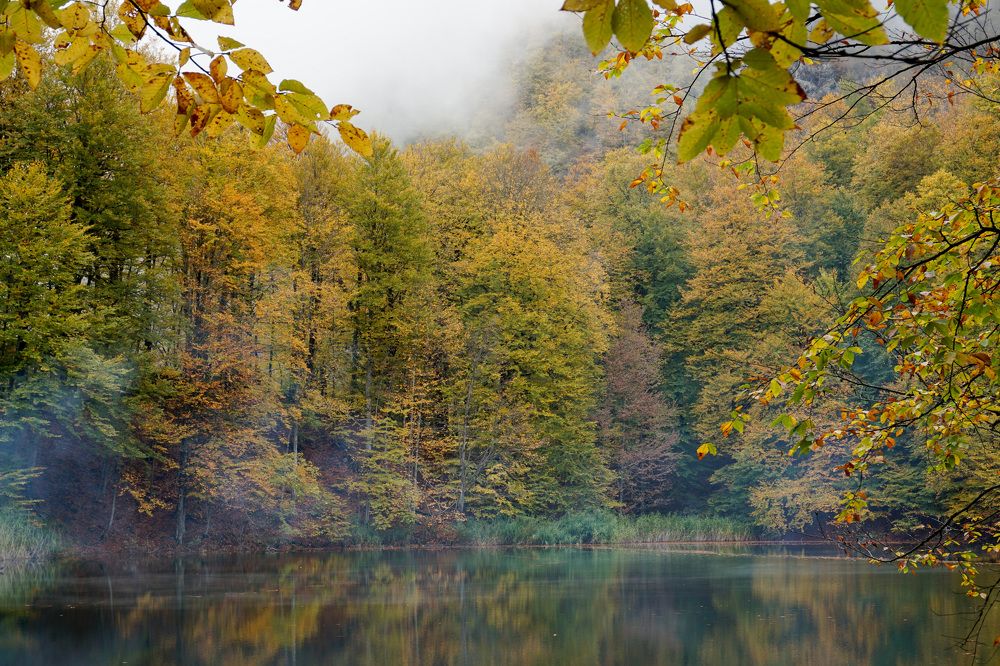 Photograph by Наталья Снеговая