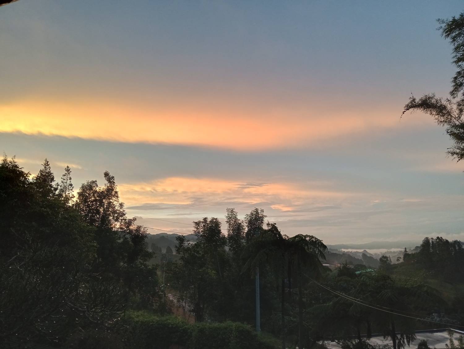 Photo #11218655