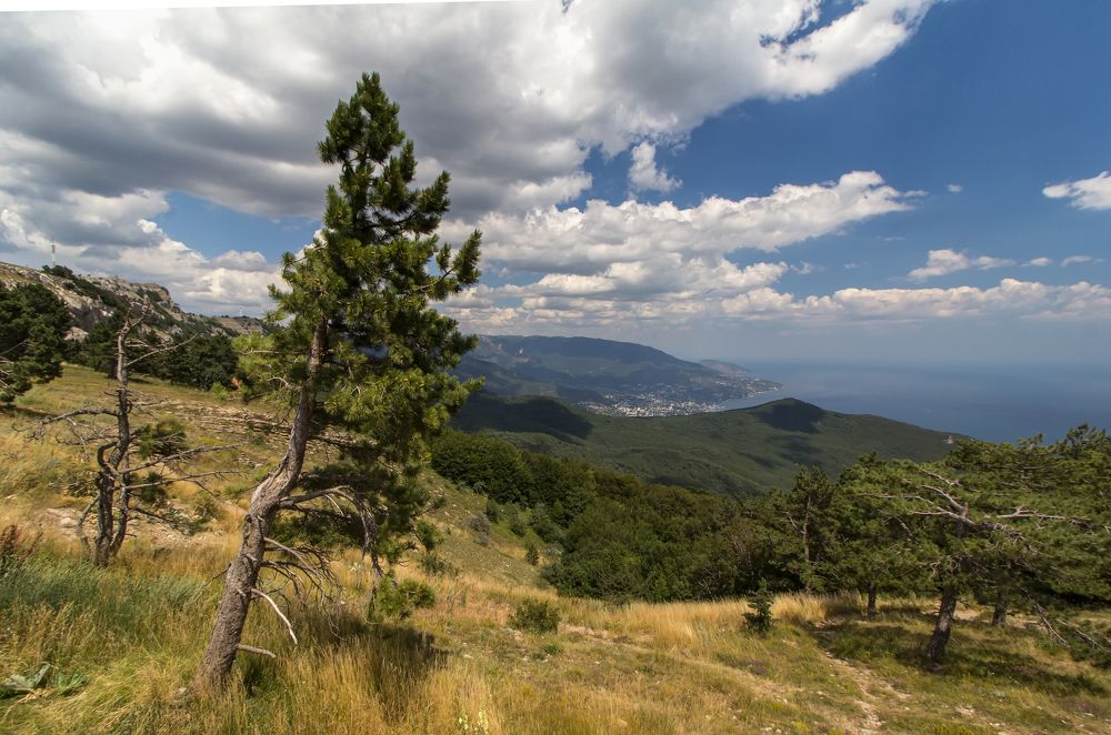 Photograph by Татьяна Феденкова