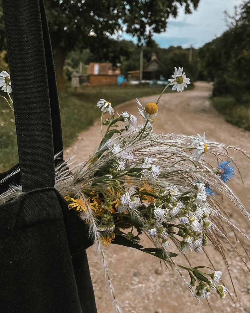 Фотография автора Ольга Каминская