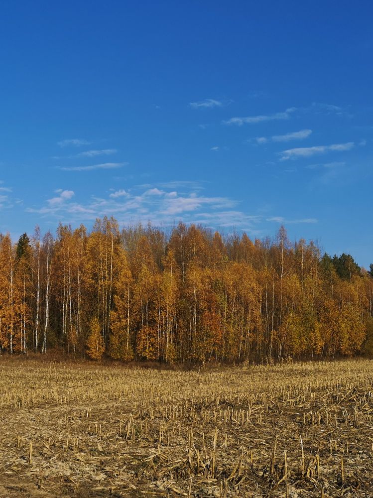 Photograph by Наталья Жуковская