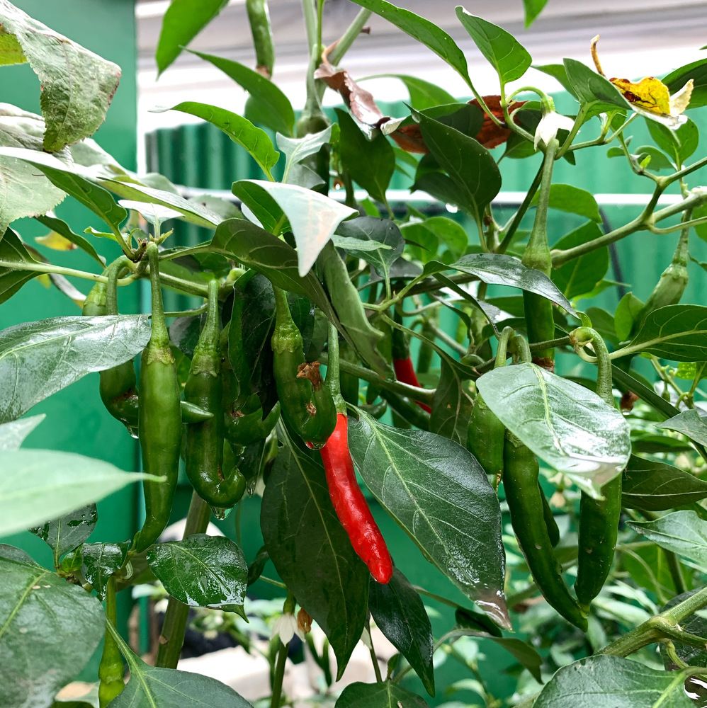 Photograph by Александра Тимошенко