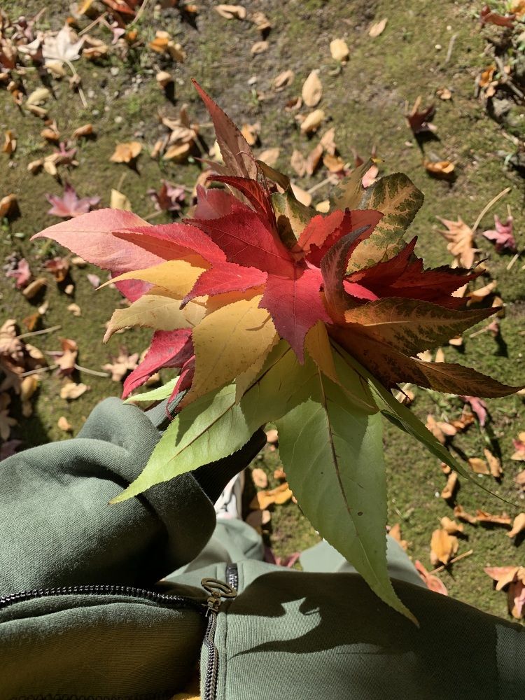 Photograph by Александра Тимошенко