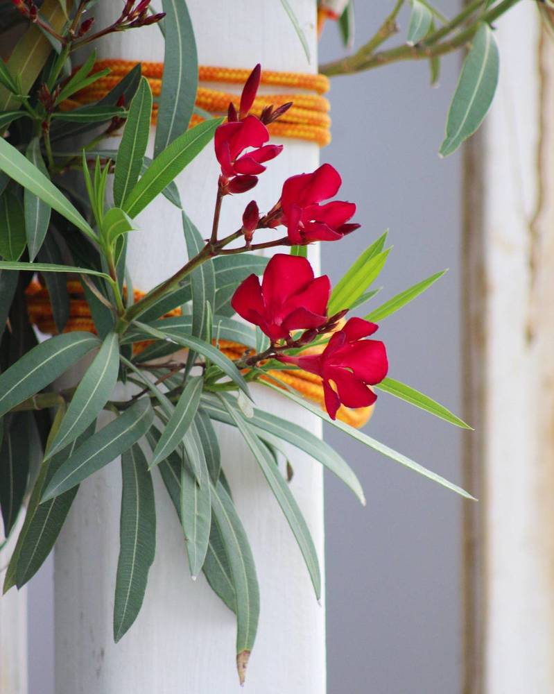 Photograph by Александра Тимошенко