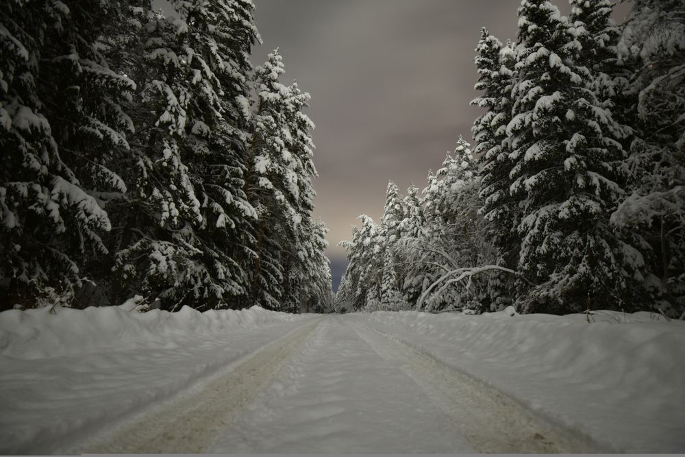 Photograph by Ljudmilla Pavljutsenkova