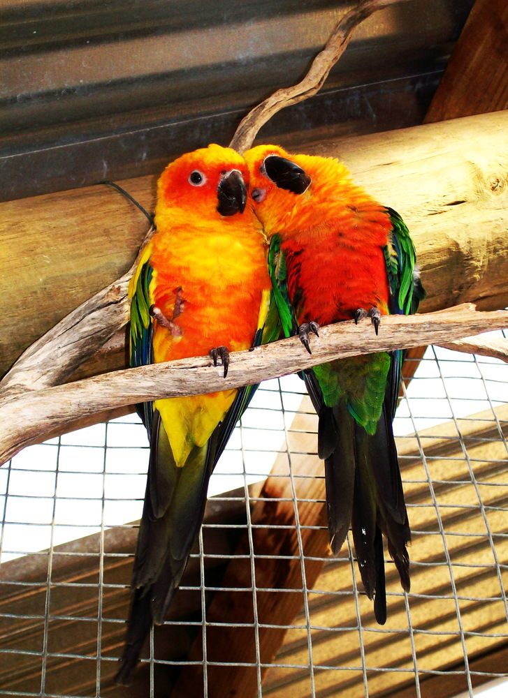 Photograph by Хвостов владимир Владимирович