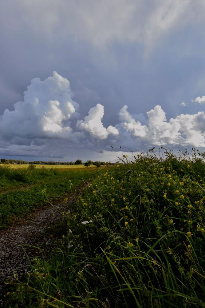 Photograph by Ljudmilla Pavljutsenkova