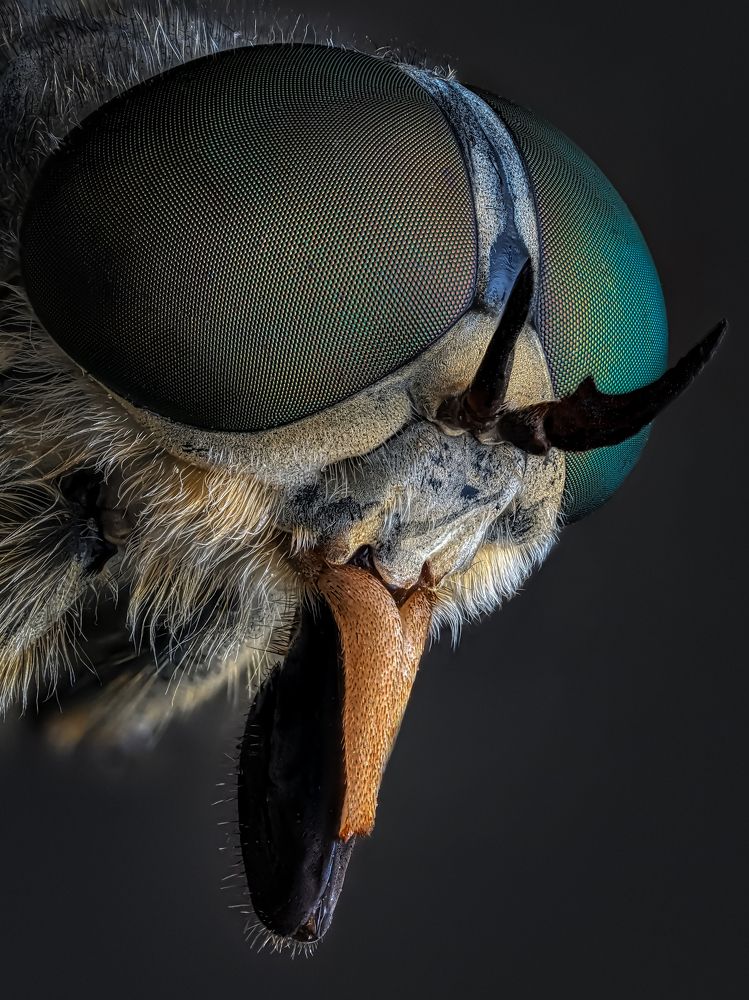 Photograph by Олег Савицкий