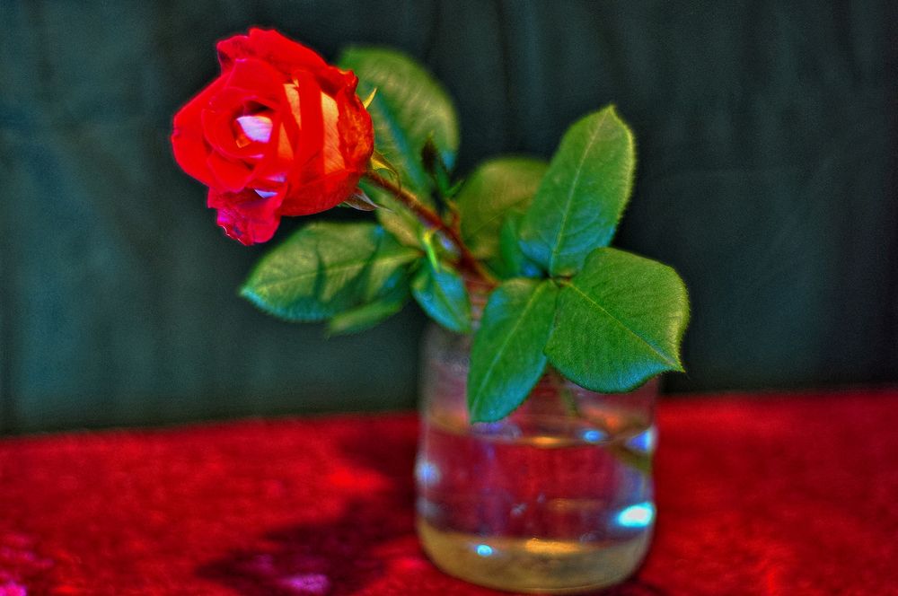 Photograph by Олег Радионов