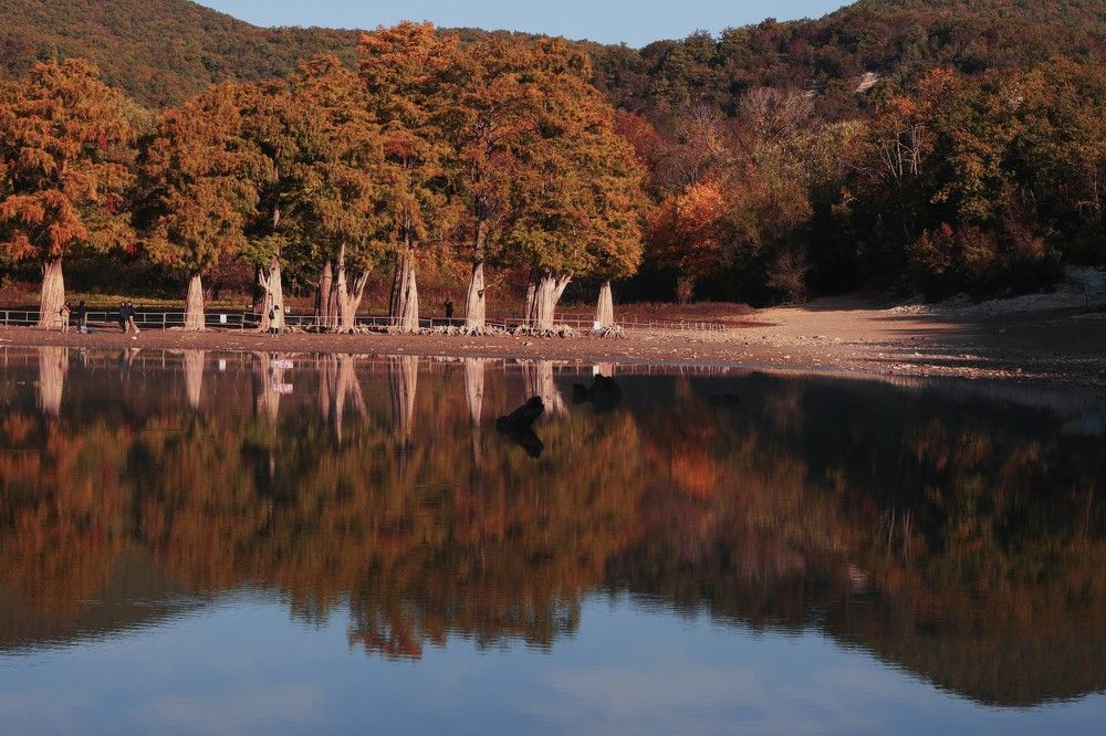 Photograph by Ирина Бескровная