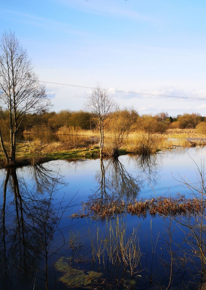 Photograph by Наталья Жуковская