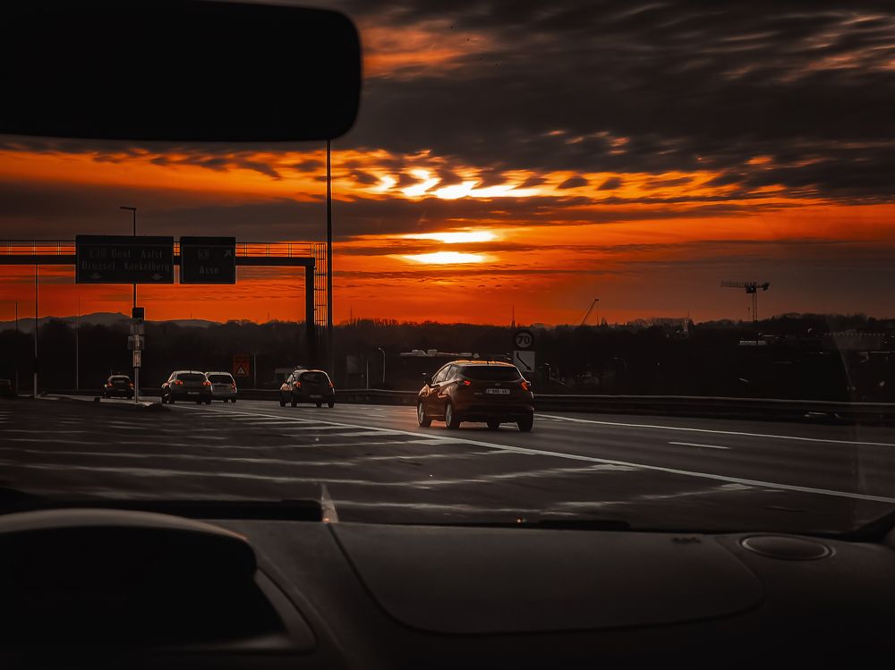 Photograph by Anya Lo