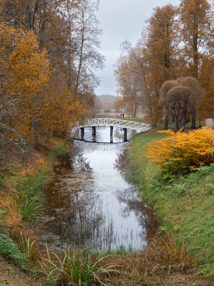 Photograph by Шейко Анна