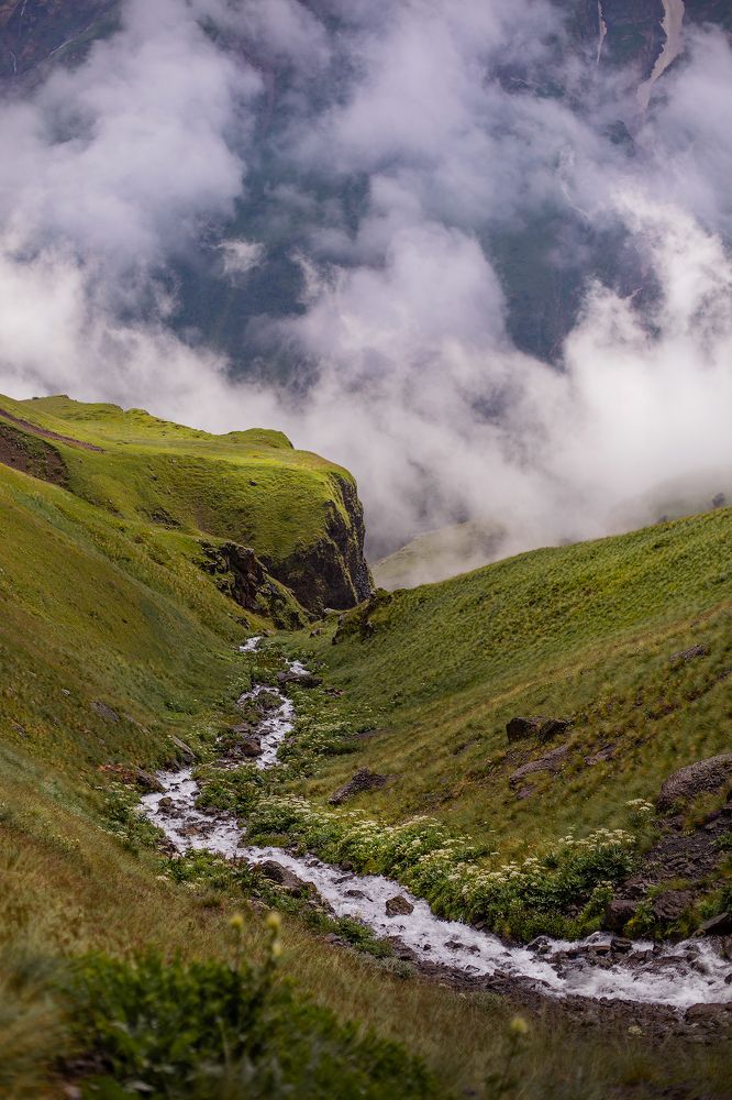 Photograph by Елена Тульчинская