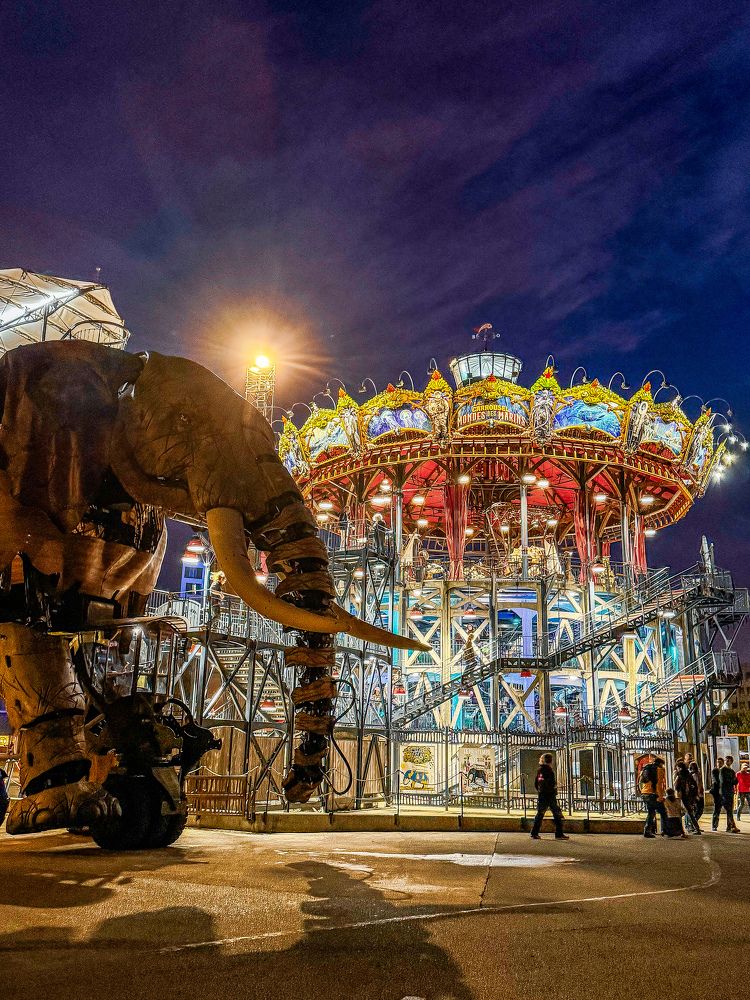 Слон на улицах города