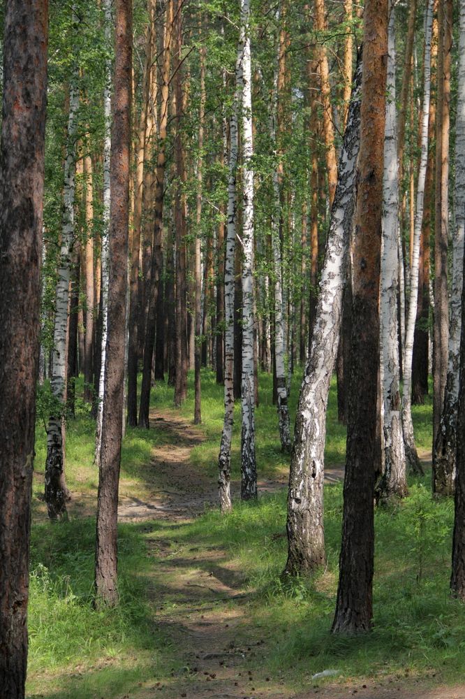 Photograph by Герасимов Игорь