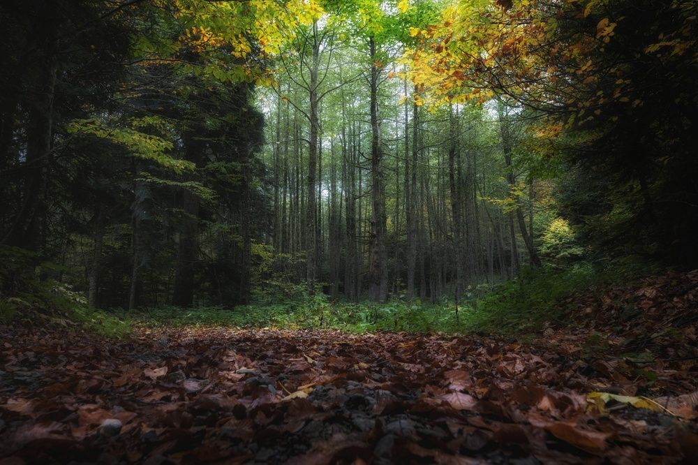 Photograph by ОЛЬГА КОВАЛЁВА