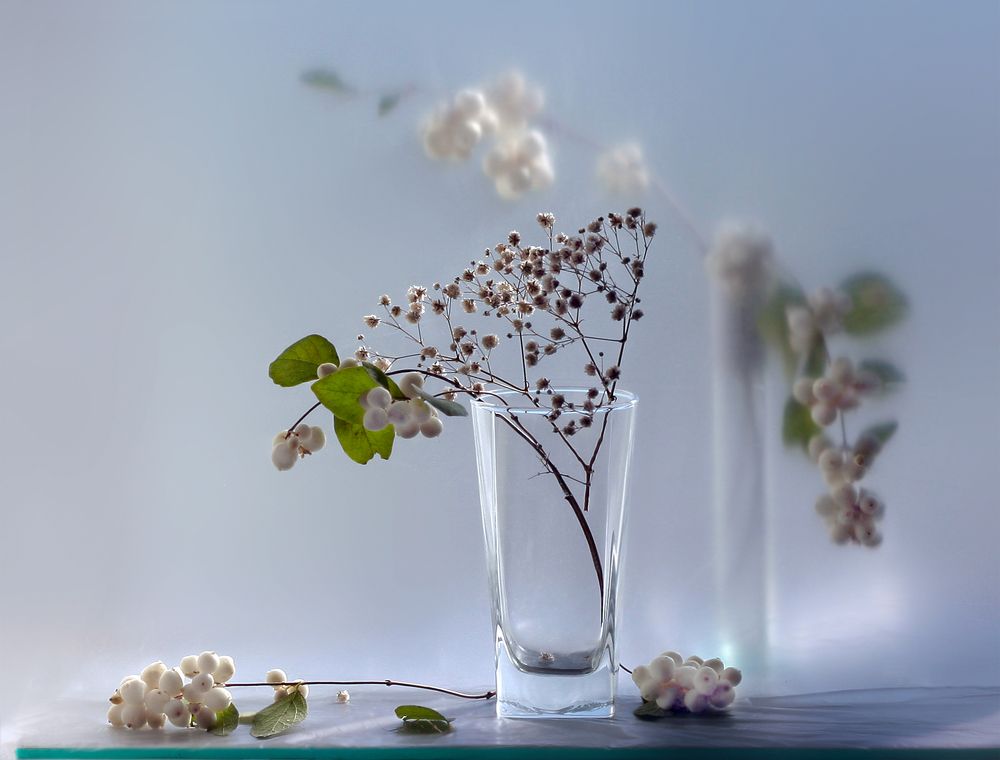 Photograph by Заболотская Ольга