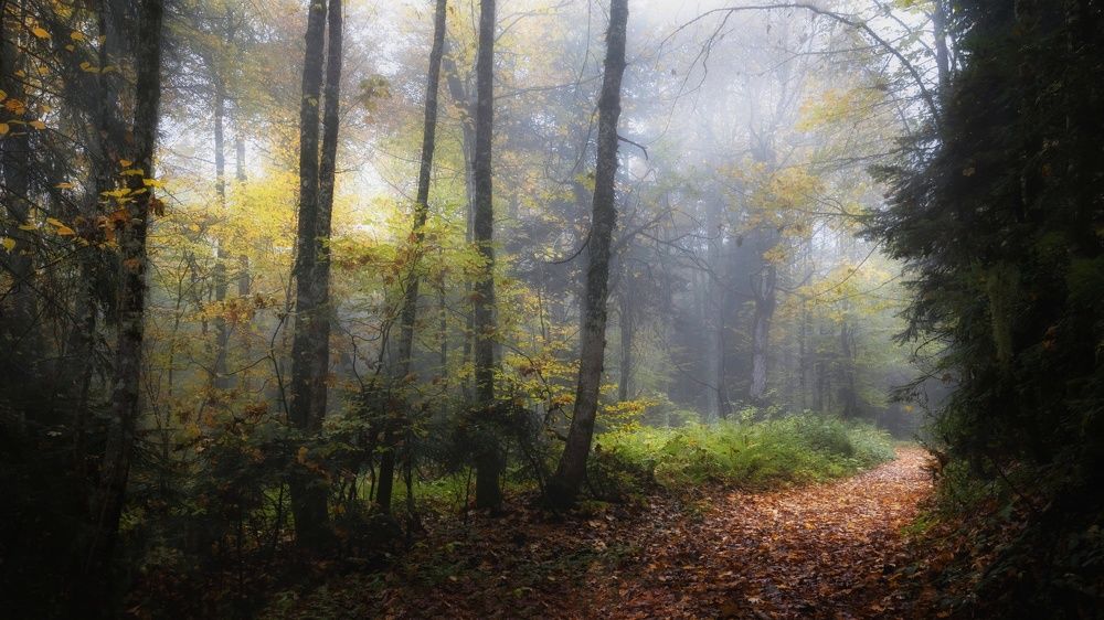 Photograph by ОЛЬГА КОВАЛЁВА